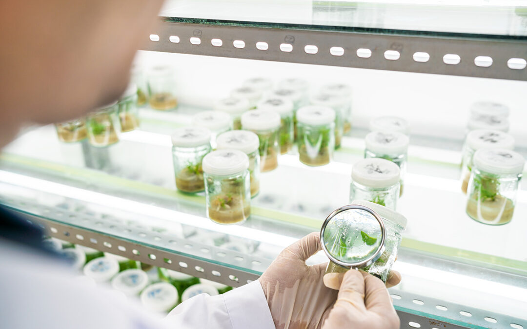 AJINOMOTO GROUP PIONEERS NUTRITION EDUCATION INITIATIVES FOR A HEALTHIER FUTURE